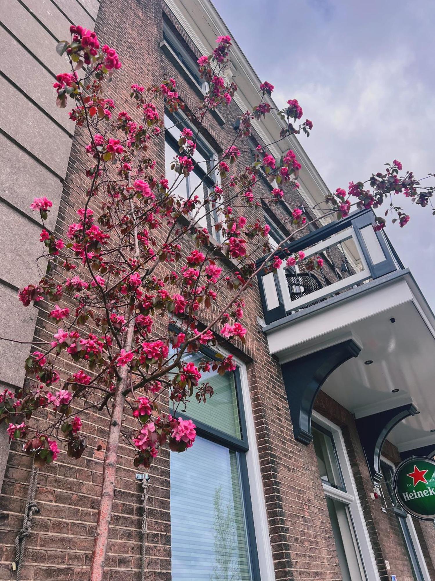 Hotel Loskade 45 Middelburg Exteriör bild